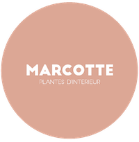 Logo Marcotte - Epitaphe Deuil - Compositions florales sur mesure sépulture - Le mans
